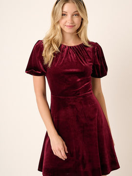 Mariana Velvet Dress