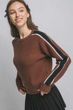 Devon Stripe Sleeve Sweater