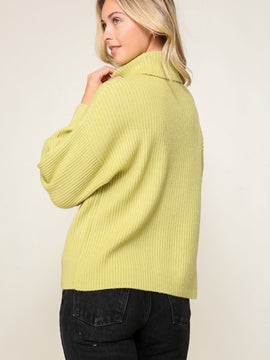 Brielle Turtleneck Sweater