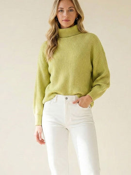 Brielle Turtleneck Sweater