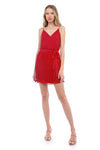 Celia Chiffon Dress