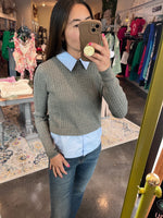 Amsonia 2 in 1 Collared Sweater