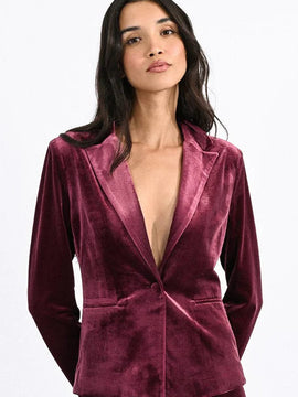 Vice Velvet Blazer