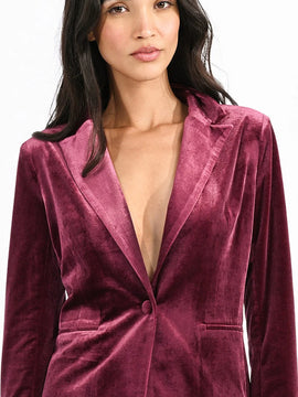 Vice Velvet Blazer